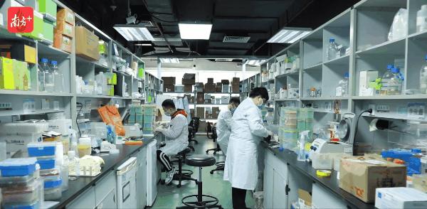 深圳創新,奔向未來