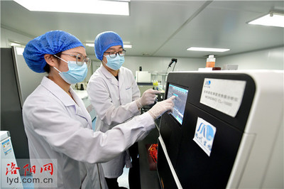洛陽現代生物技術研究院:研制新型防控試劑產品 保障畜禽產品消費安全