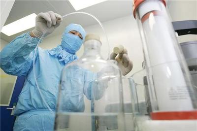 云報觀察丨“云藥”產業厚積薄發