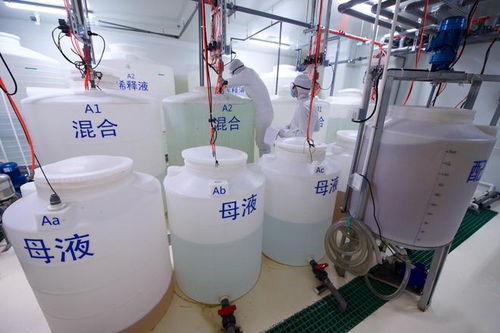 探訪中科三安植物工廠
